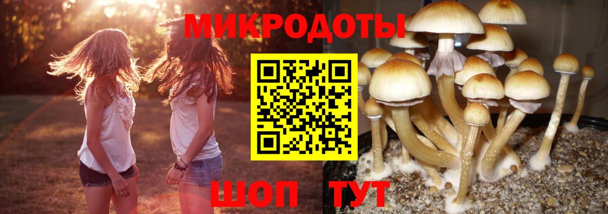 Псилоцибиновые грибы GOLDEN TEACHER Тобольск
