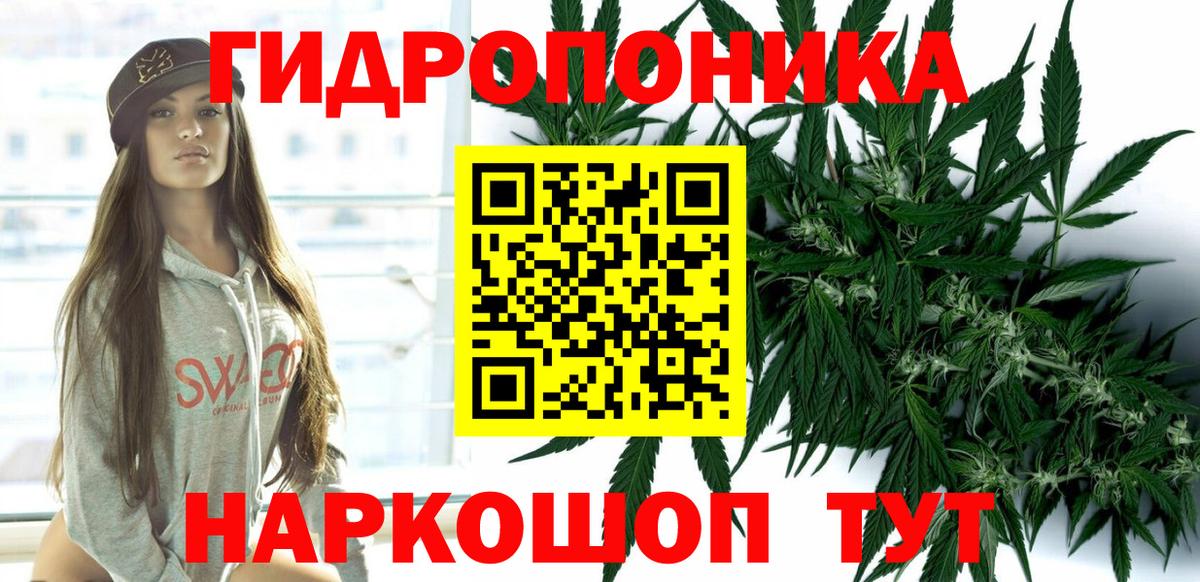 Бошки марихуана конопля Тобольск